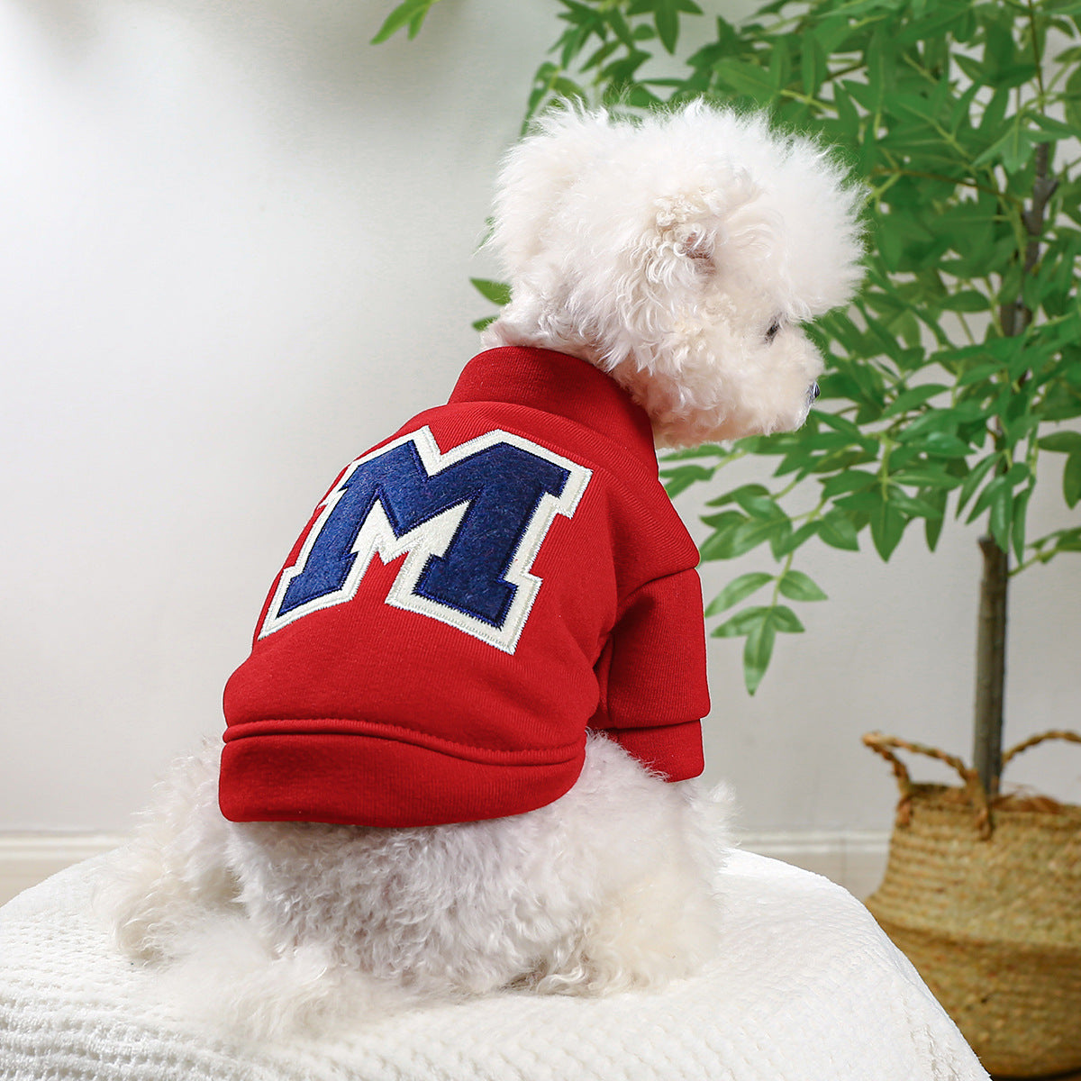 Chien Bichon Teddy portant un hoodie rouge avec une lettre M, parfait pour l'automne et l'hiver.