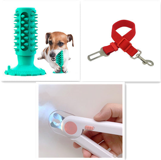 Brosse à Dents pour Chien Stick Molaire