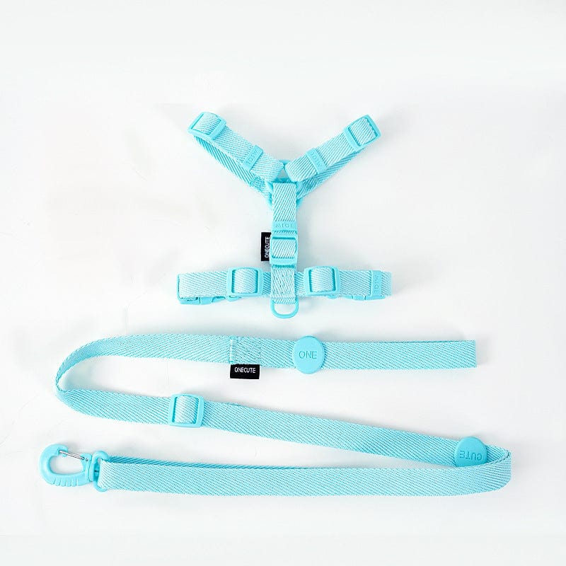 Harnais de sécurité pour chien bleu avec laisse assortie, idéal pour les promenades et le confort animal.