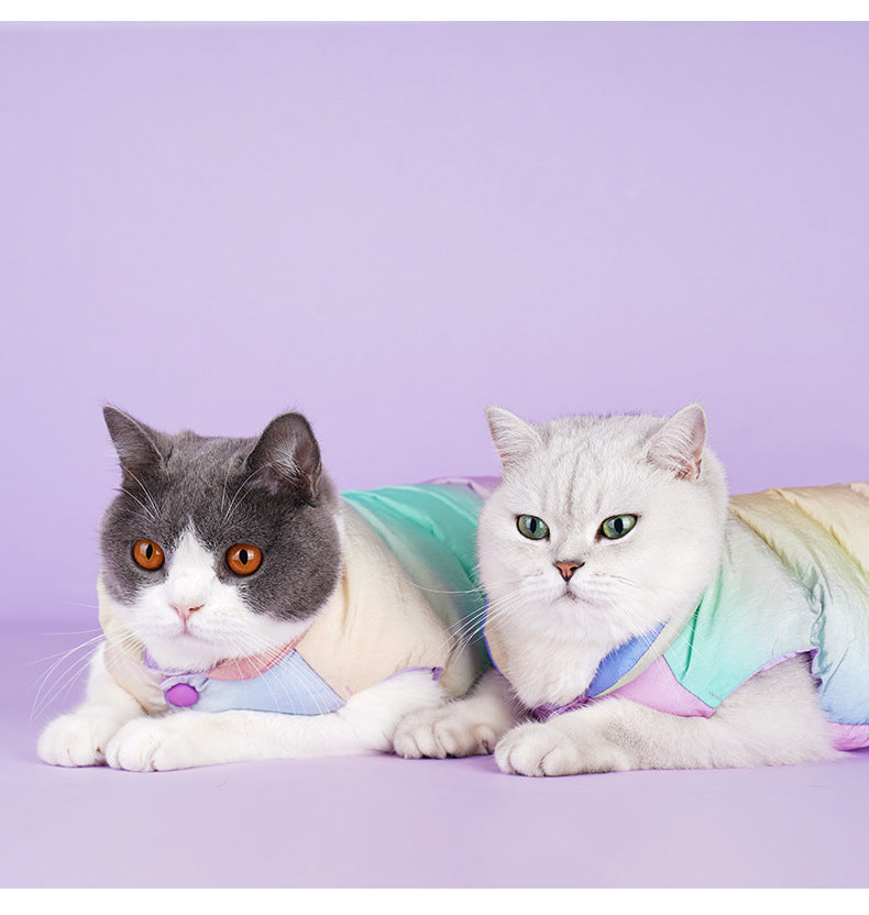 Deux chats portant des gilets colorés sur un fond violet, montrant confort et style.