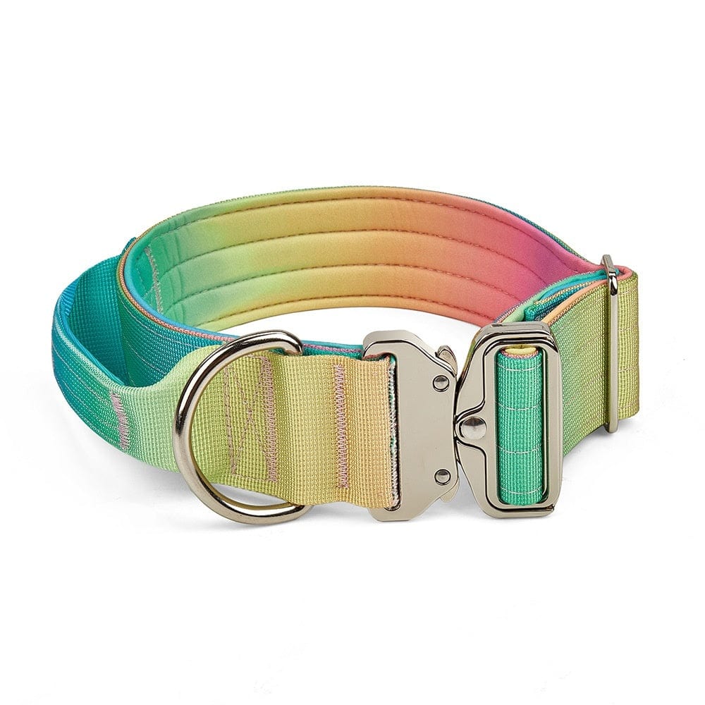 Collier large dégradé pour animaux avec boucle en métal, design moderne et coloris vert, bleu, rose et jaune.