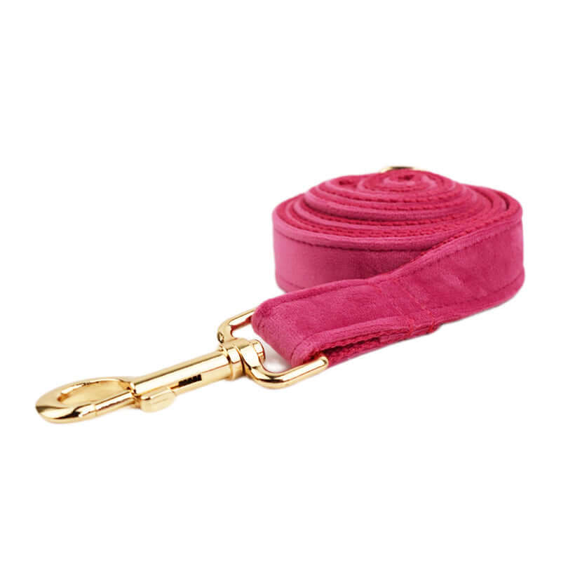 Laisse en velours rose pour chien avec attache dorée, idéale pour promenades élégantes et confortables.