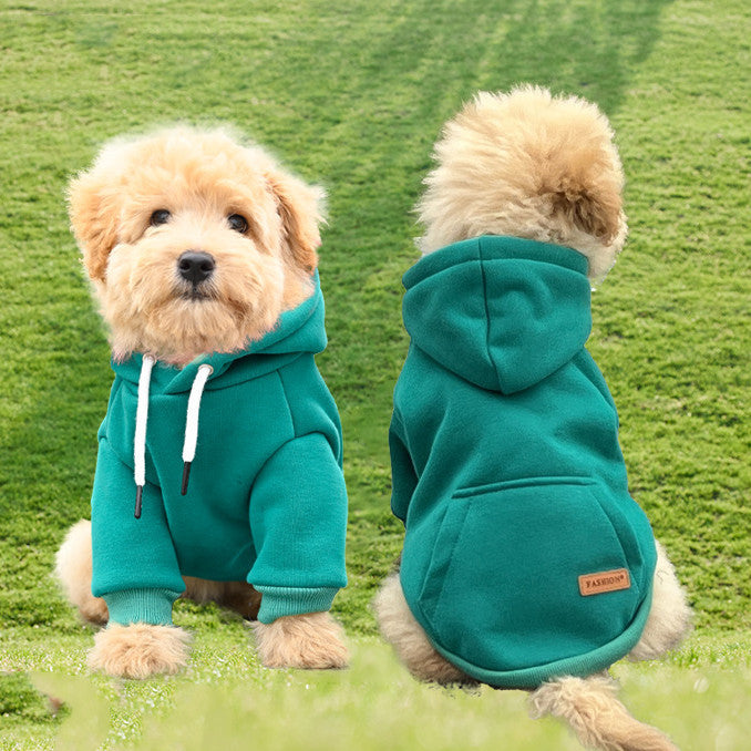 Chien portant un sweat à capuche en coton vert, style décontracté pour animaux, confort et chaleur.