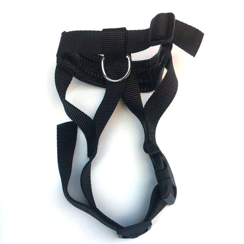 Harnais de sécurité noir ajustable pour chien, idéal pour promenades et confort, en nylon durable.