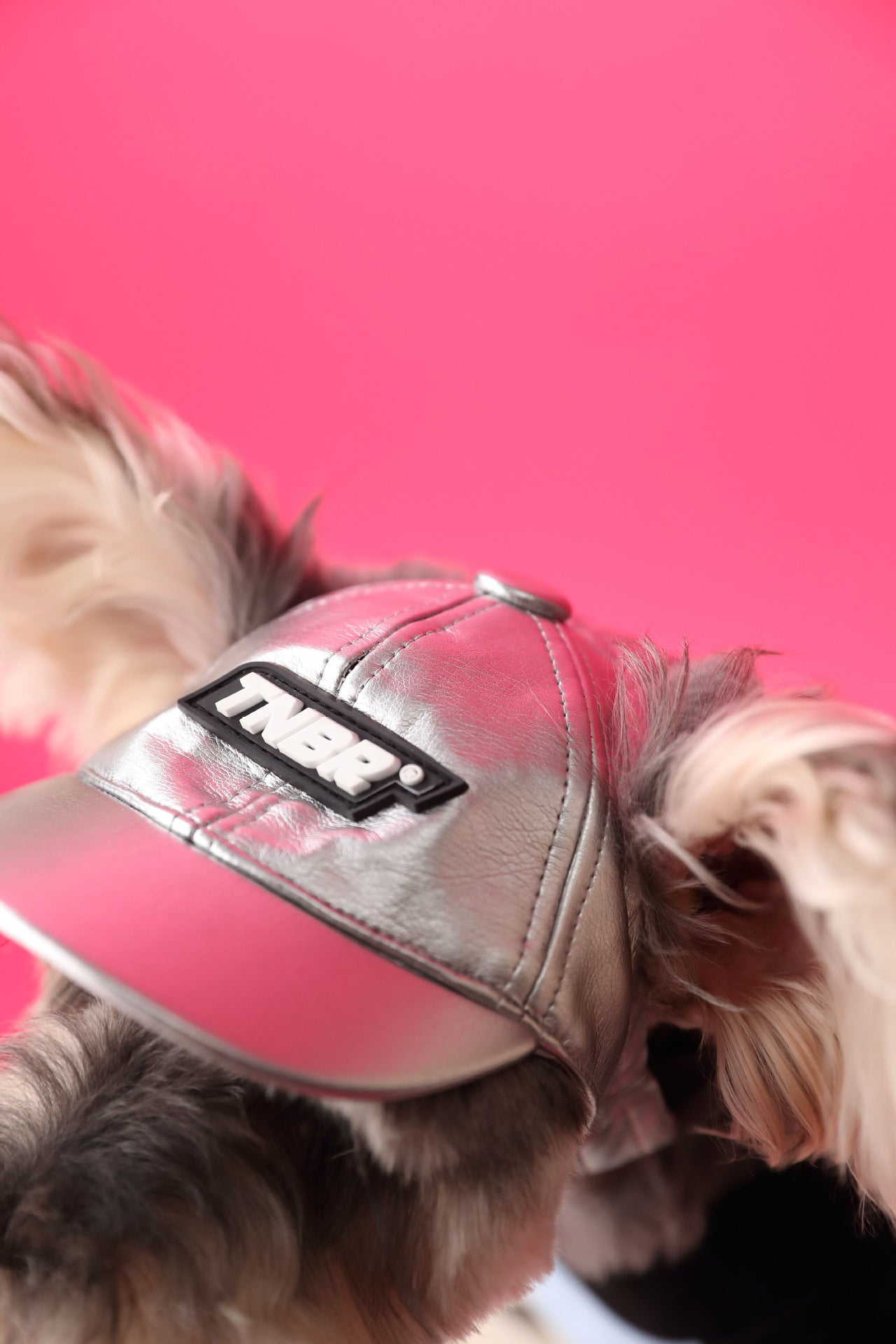 Chien portant une casquette stylée argentée et rose, avec un arrière-plan rose vif.