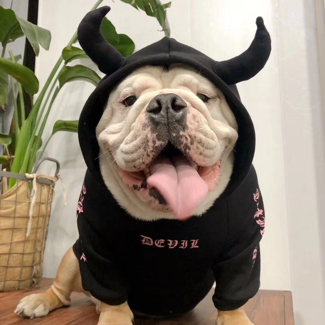 Chien heureux dans un pull en fleece noir avec cornes, prêt pour Halloween, style décontracté et amusant.