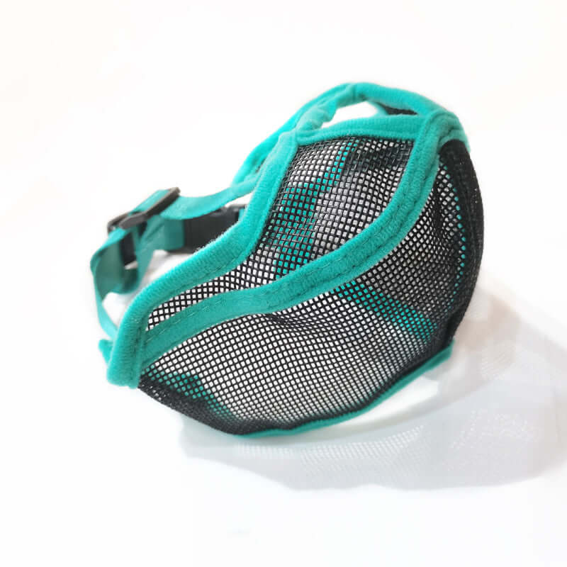 Mentonnière en nylon pour chien à bouche courte, conçue pour le confort et la protection, couleur vert turquoise.