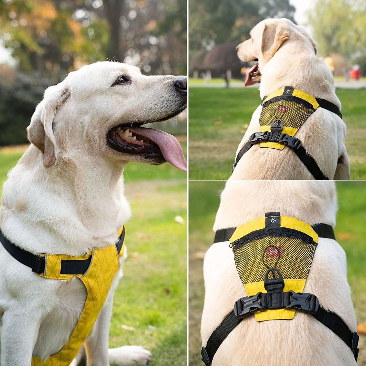 Harnais de chien étanche et réfléchissant pour un confort et une sécurité optimaux en extérieur.