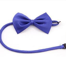 Nœud papillon simple couleur solide bleu pour animaux de compagnie, parfait pour occasions spéciales.