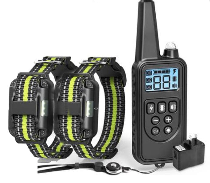 Collier de dressage pour chien 800M avec récepteur étanche et télécommande, idéal pour l'éducation de votre animal.
