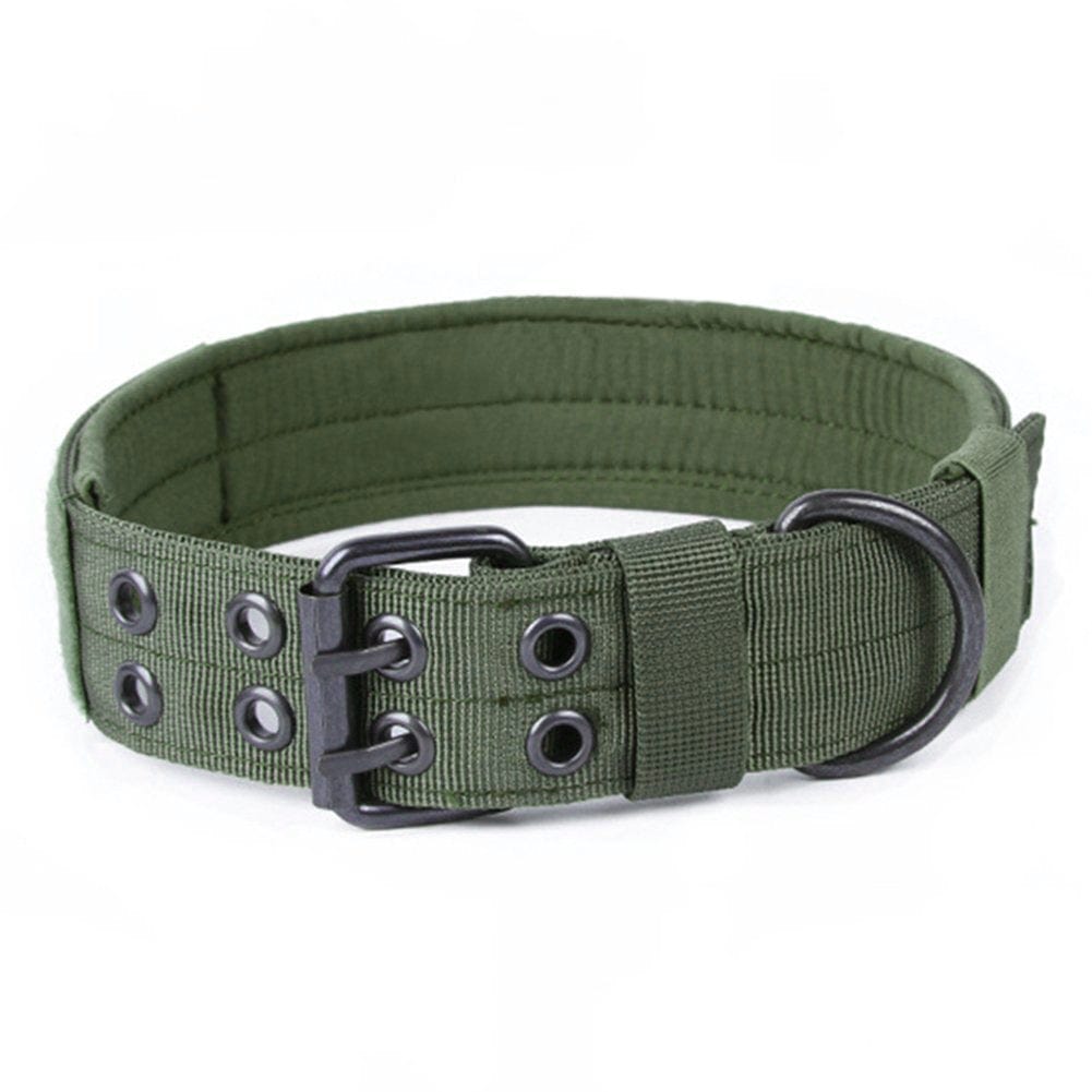 Collier anti-rouille en nylon pour chien, durable et confortable, avec boucles et rembourrage.