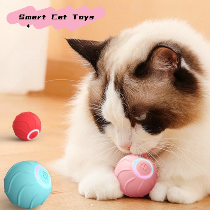 Balle Interactive Automatique pour Chats