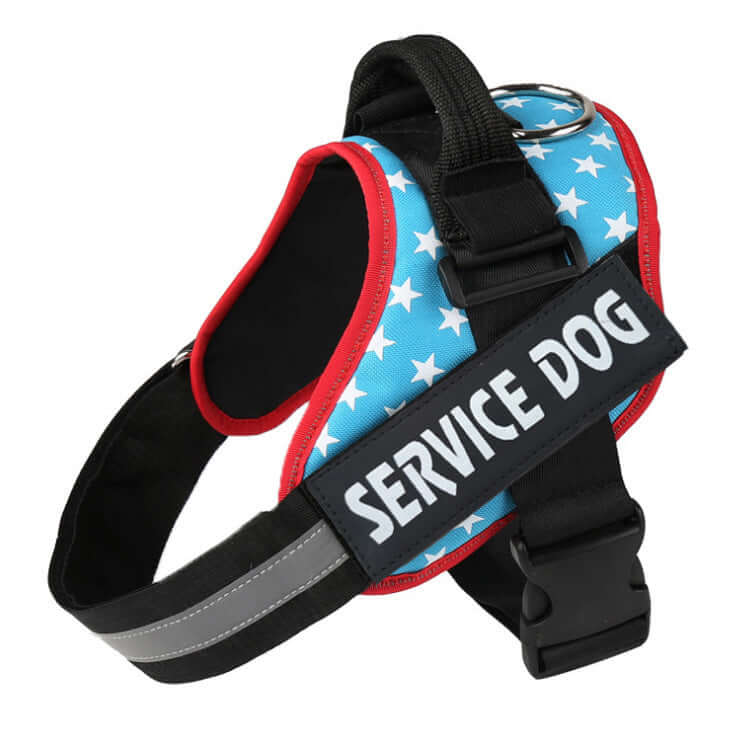 Service dog harness with blue star design, adjustable strap, and reflective elements for visibility.