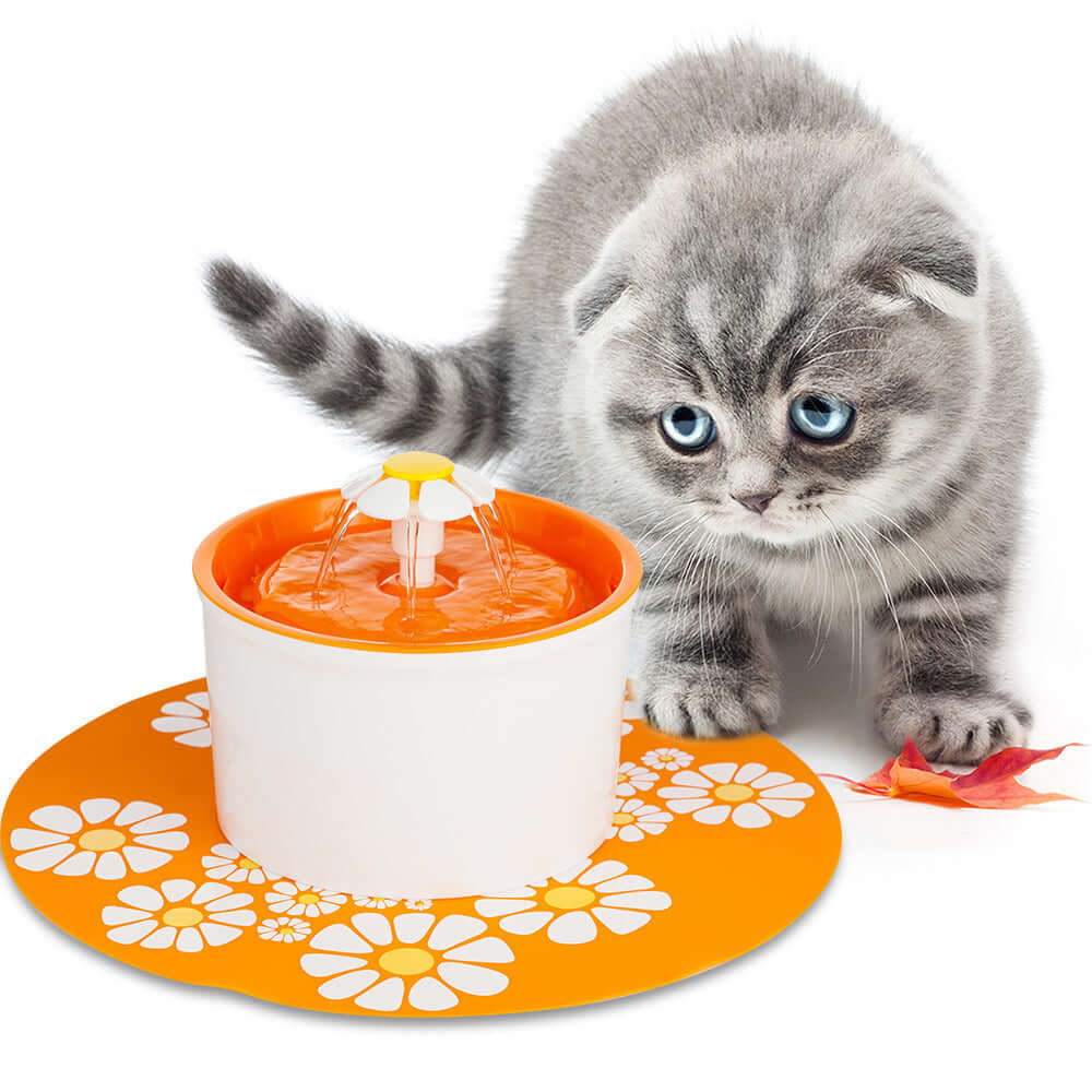 Fontaine à eau électrique pour chats avec un chaton curieux à côté, idéale pour une hydratation optimale.