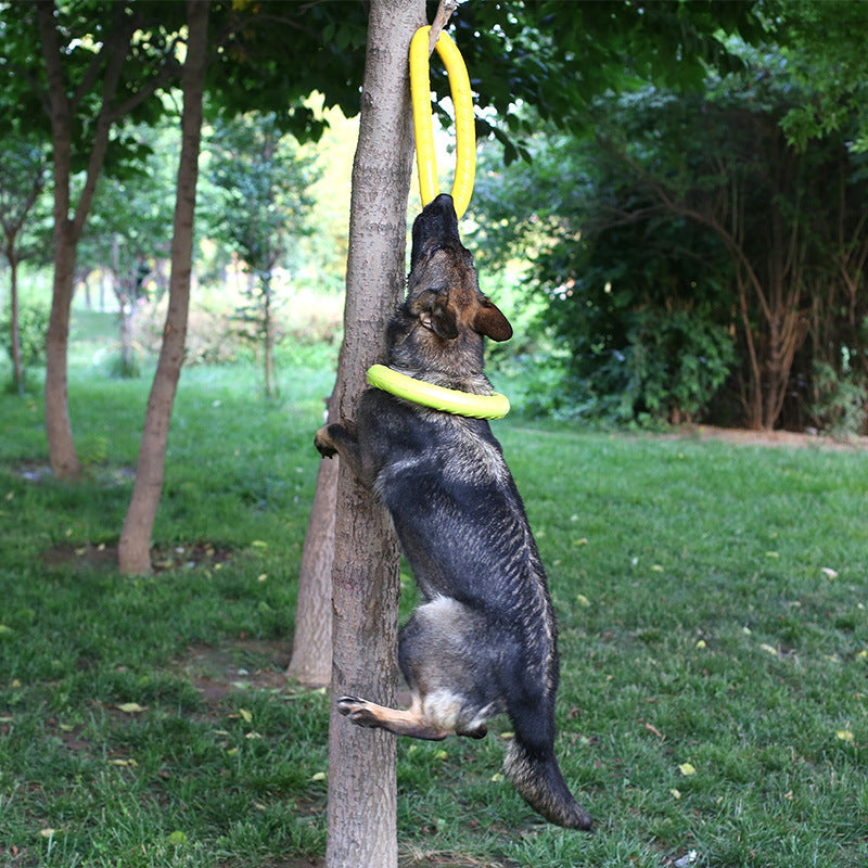 Jouet de Formation pour Chien en Anneau de Tir