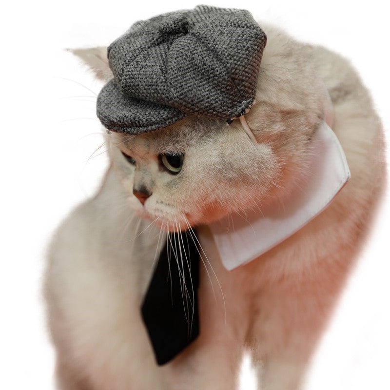 Chat élégant portant un beret et une cravate, mettant en valeur des accessoires chics pour animaux.