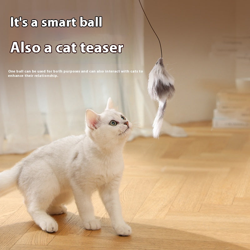 Balle Teaser Électrique pour Chats et Chiens