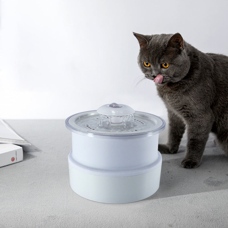 Chat curieux près de la fontaine à boire pliante et lumineuse pour animaux, conçue pour un accès facile à l'eau.