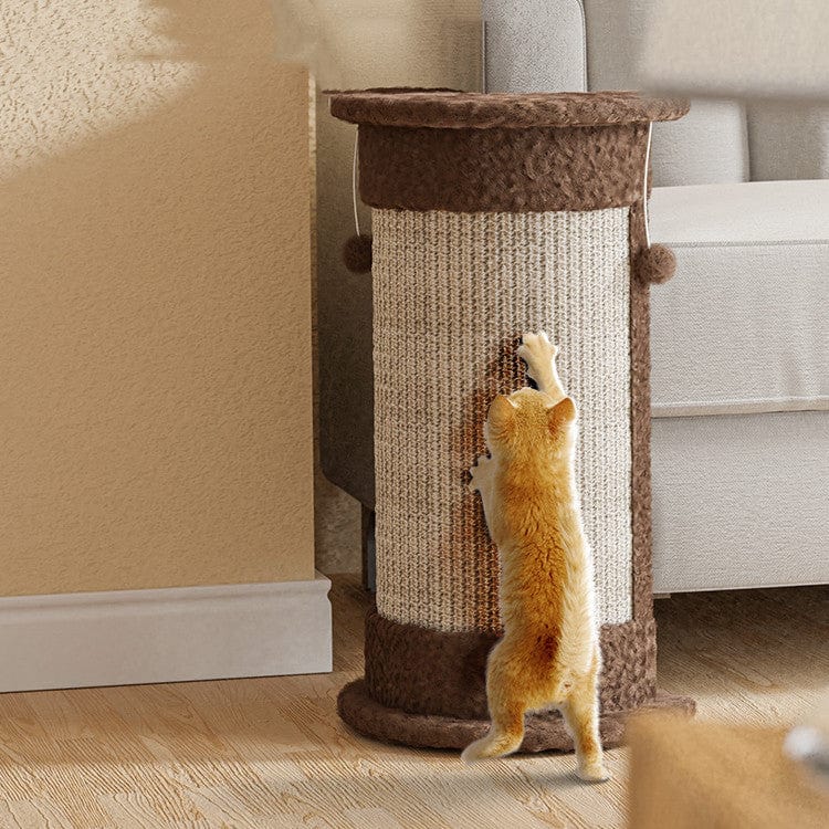 Chat grattant une planche à griffer verticale en sisal, protégeant le canapé et ajoutant du style à l'intérieur.