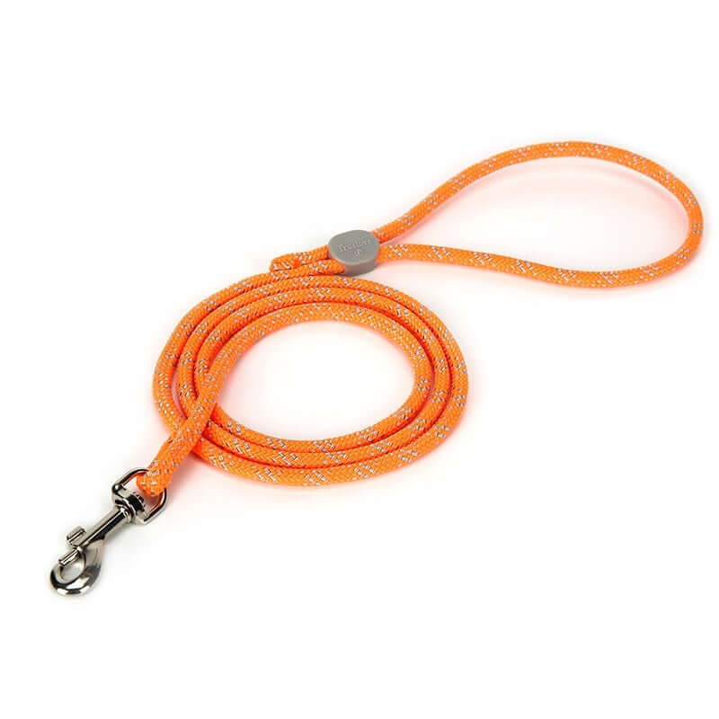 Laisse ajustable colorée orange pour animaux de compagnie, idéale pour les promenades en extérieur et le style.