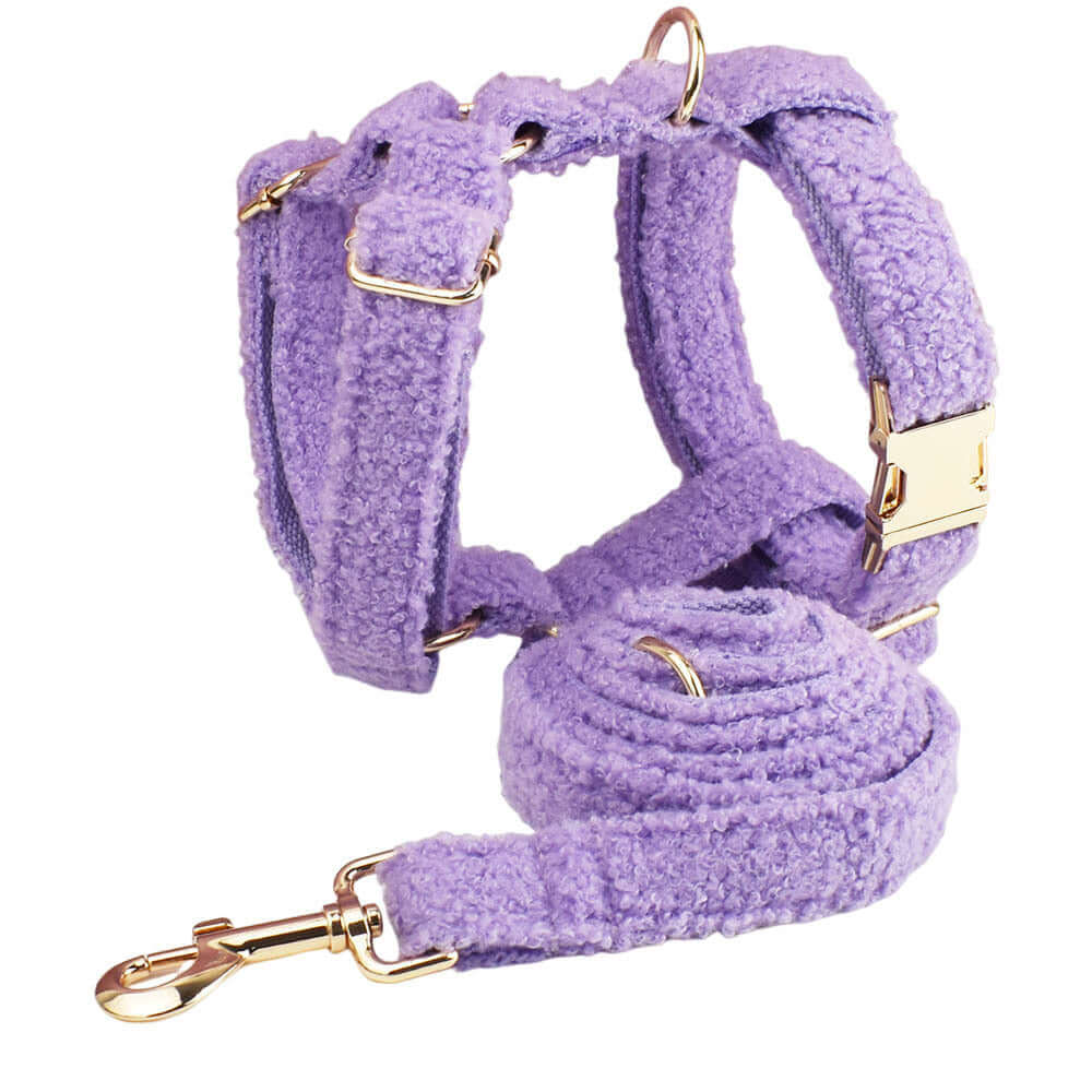 Harnais et laisse pour chien violet, en coton bio, parfait pour des promenades élégantes et confortables.