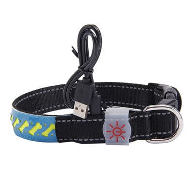 Collier LED pour chien avec câble USB, offrant sécurité et visibilité lors des promenades nocturnes.