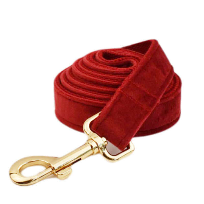 Laisse pour chien en velours rouge avec mousqueton doré, idéale pour le confort et le style lors des promenades.