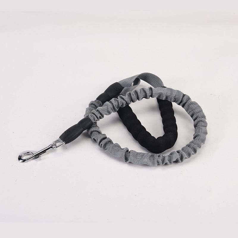 Laisse pour chien élastique grise avec poignée confortable pour promenades faciles et sécurisées.