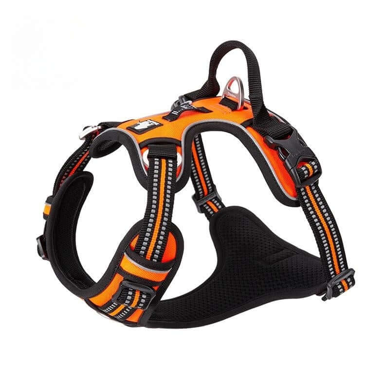 Gilet de sécurité pour chien en nylon, orange, avec sangle et corde de traction, durable et confortable.