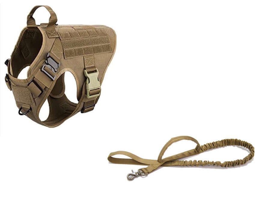 Ceinture de sécurité tactique pour chiens en nylon 1000D avec laisse assortie pour une promenade sécurisée.