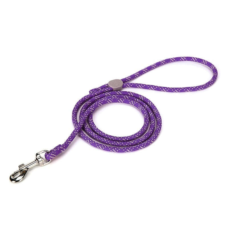 Laisse ajustable colorée pour animaux de compagnie, couleur violette, idéale pour les promenades avec les chiens.