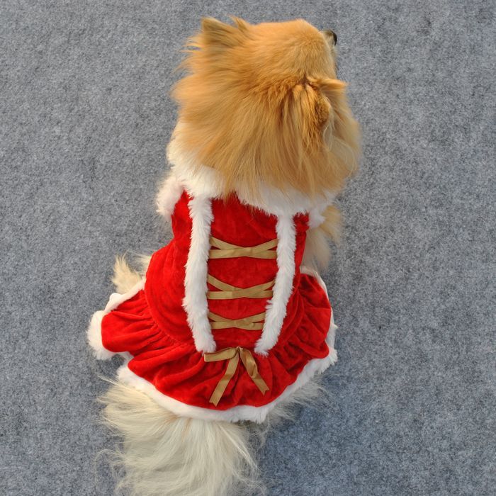 Chien portant une jupe rouge classique en velours pour Noël avec de la fourrure, vue de dos.