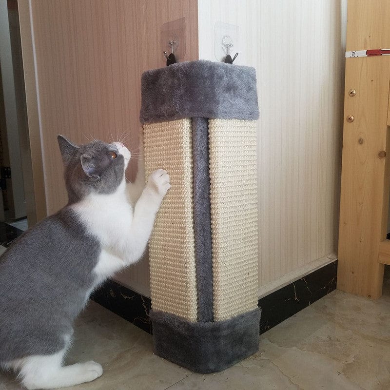 Chat utilisant un griffoir pliable écologique pour joue et se gratter, protégeant les meubles.