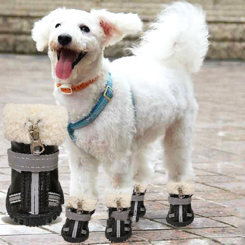 Chien blanc joyeux portant des bottes d'hiver imperméables, entouré de paires de bottes sur sol pavé.