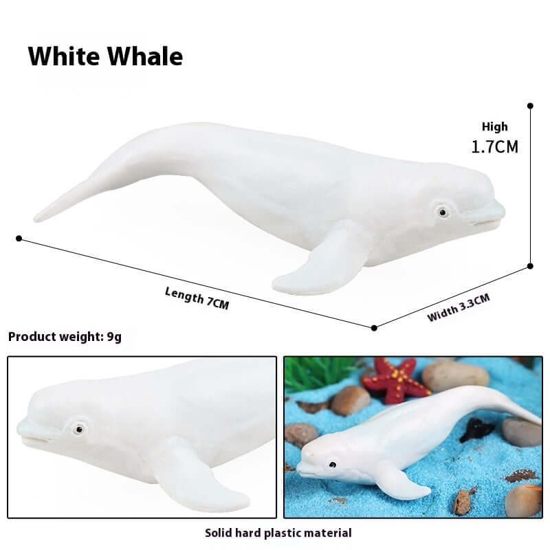 Modèle de baleine blanche en plastique, jouet éducatif de 7 cm, avec dimensions et détails affichés.