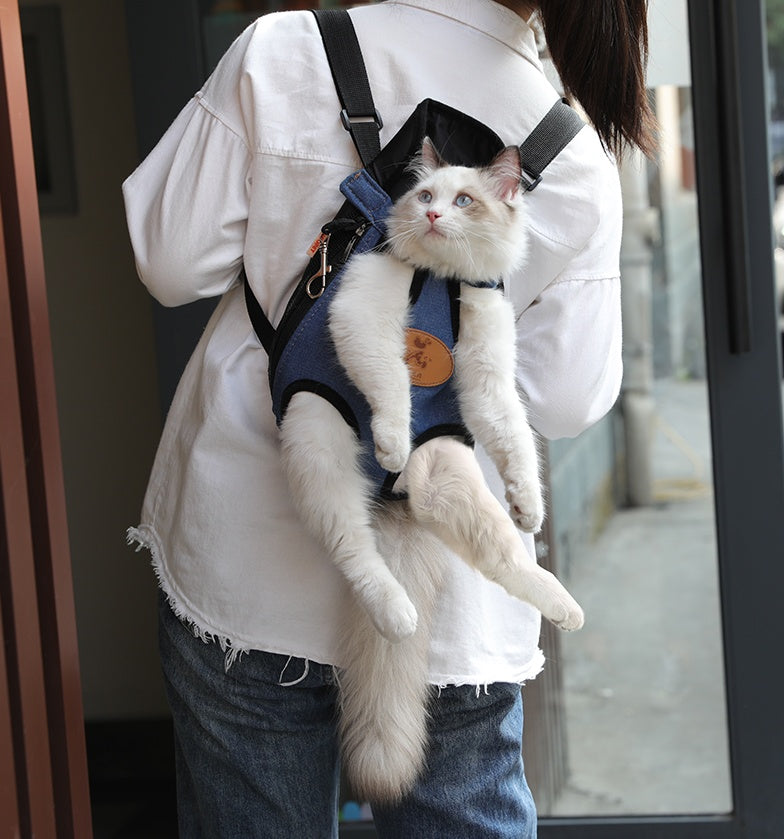 Sac à dos portable pour chat, sécurisé et confortable, parfait pour des sorties printanières avec votre félin.