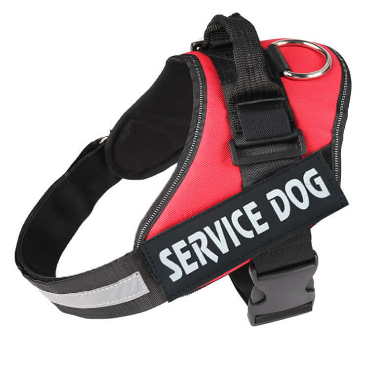 Red service dog harness featuring adjustable straps and padded comfort, ideal for support and control during walks.