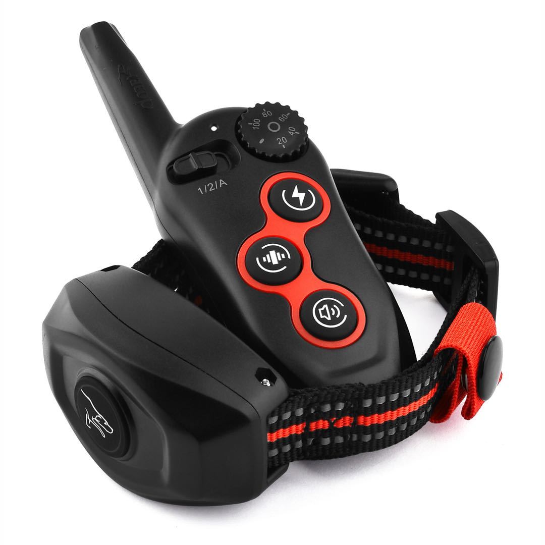 Entraîneur de Chien Polyvalent avec télécommande, outil efficace pour l'éducation canine.