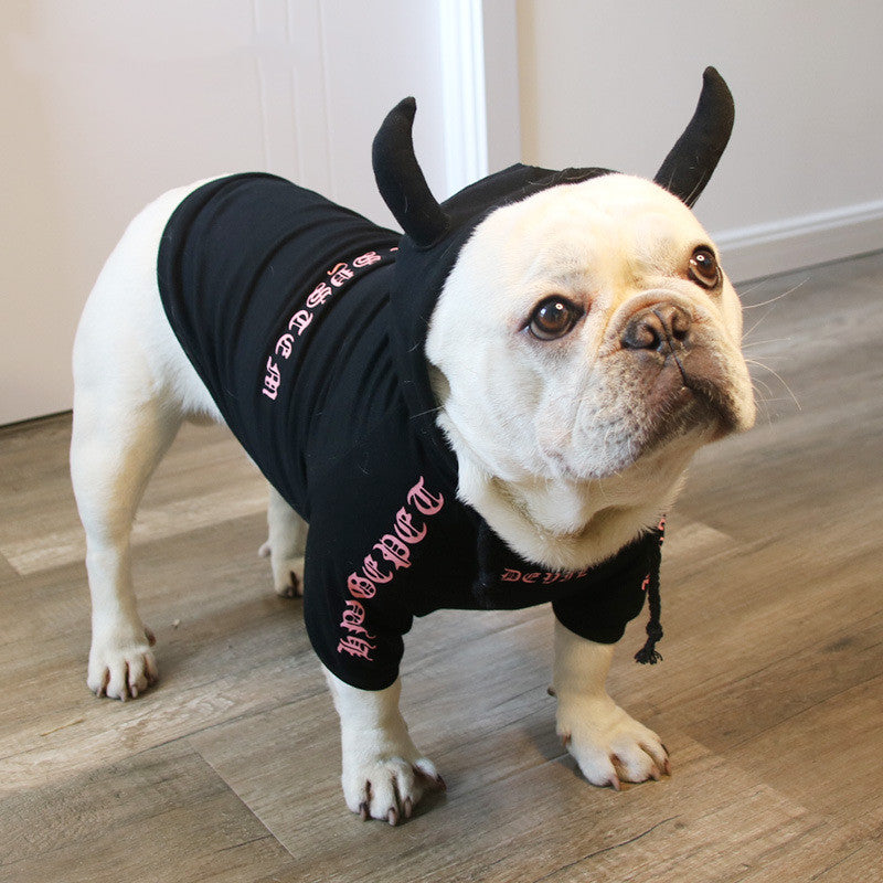 Chien en pull à capuche noir avec cornes pour Halloween, élégant et confortable, parfait pour les sorties.