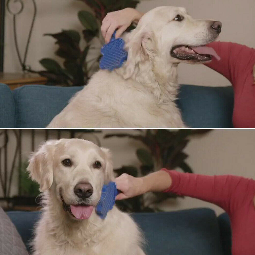 Brosse Démêlante Douce pour Animaux