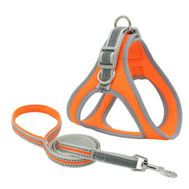 Harnais de poitrine orange et gris pour animaux avec la laisse assortie, conçu pour le confort et la sécurité.