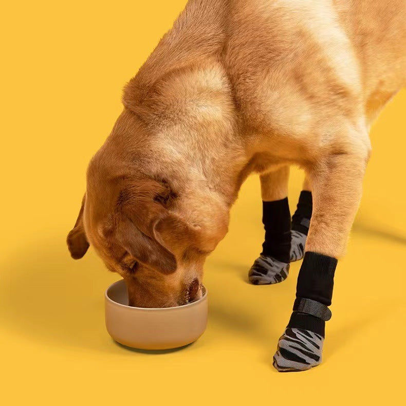 Chien avec chaussettes antidérapantes en train de manger dans un bol sur fond jaune.