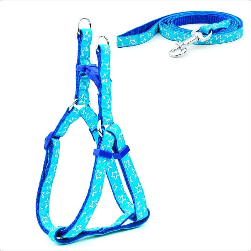 Laisse pour animaux à pois bleue avec sangle de poitrine pour chiens, confortable et durable.