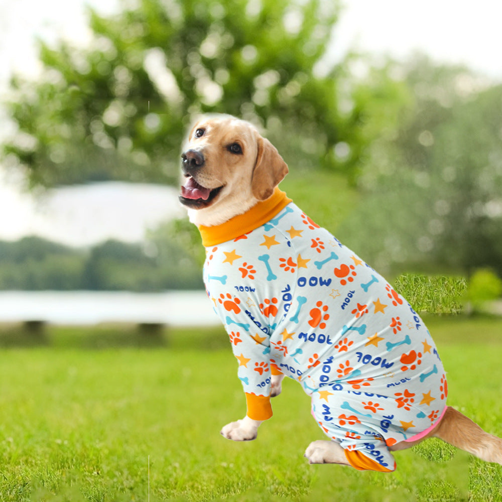 Chien portant un vêtement en coton mignon, élégant et confortable pour animaux dans un jardin verdoyant.