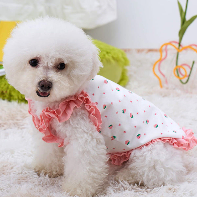 Chienne en jupe d'été légère et colorée avec motifs, idéale pour le confort des animaux en été.
