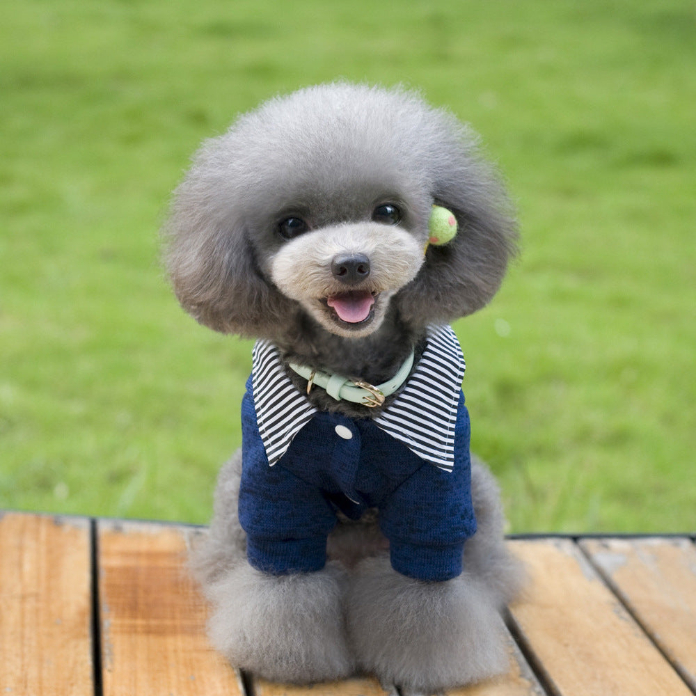 Chien heureux en sweatshirt élégant avec col relevé, assis sur un plancher en bois, arrière-plan verdoyant.