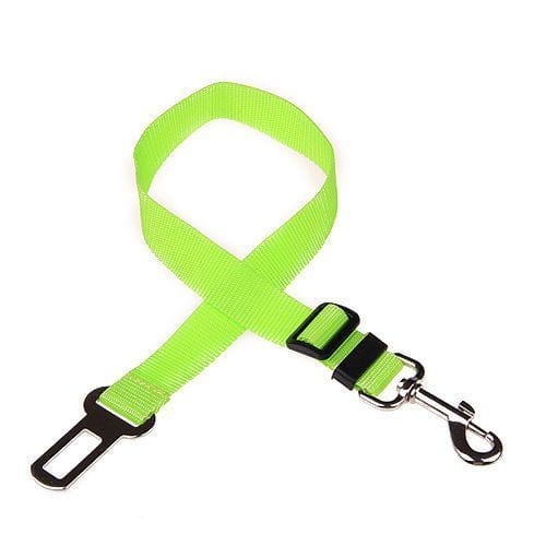 Corde de sécurité rétractable en nylon pour chien, couleur vert fluo, durable et légère, idéale pour la sécurité des animaux.