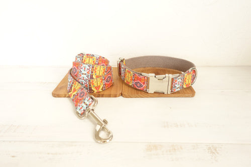 Ensemble collier et laisse assortis Funkadelic pour chien, design coloré et élégant sur support bois.