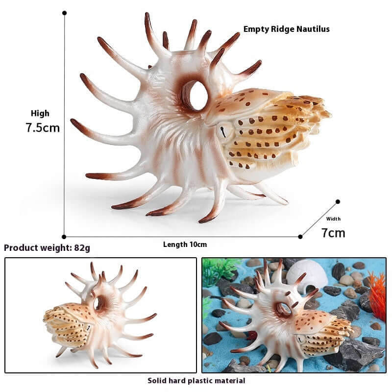 Empty Ridge Nautilus model showcasing realistic design, dimensions, and durable plastic material for marine decor.