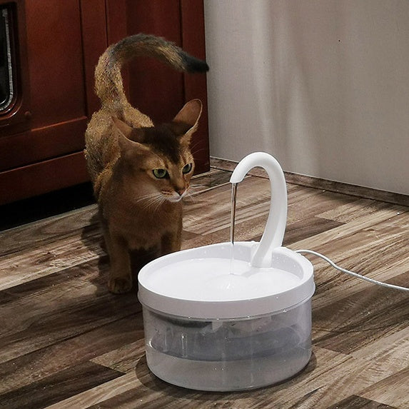 Fontaine à eau automatique pour animaux avec un chat curieux à proximité sur un sol en bois.